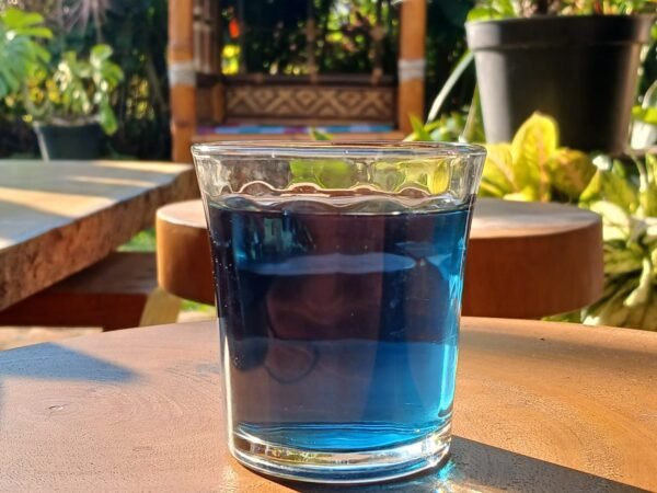 Bunga Telang, Indah Warnannya Dan Banyak Khasiatnya