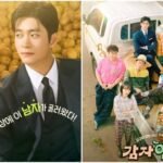 Tayang 1 Maret! Sinopsis Drama Romcom ‘The Potato Lab’, Cinta Bersemi Karena Kentang