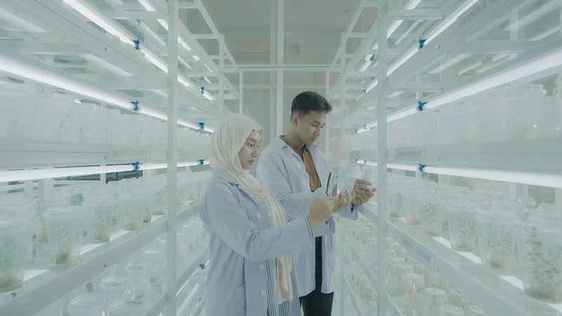 089-Penelitian di UMM UMM Duduki Peringkat Pertama Kampus dengan Penelitian Terbaik se-Indonesia