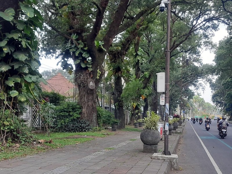 Pemindahan Bangku di Jalan Ijen Sebagai Penambahan Fasilitas Taman Merjosari