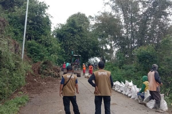 Longsor Tutup Akses Jalan di Ngantang, BPBD Kabupaten Malang Gerak Cepat