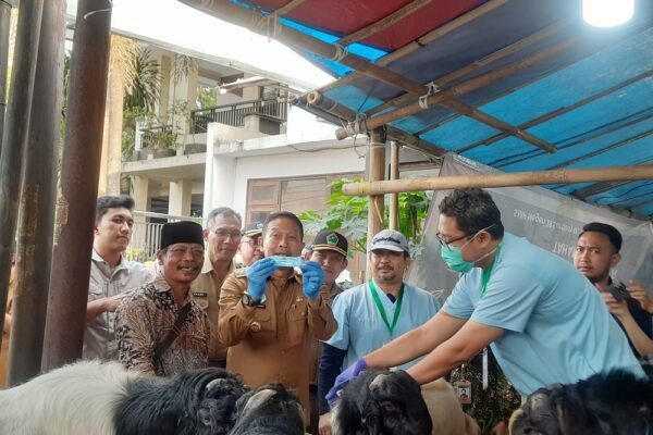 Wali Kota Malang Tinjau Kesehatan Hewan Kurban di Sawojajar
