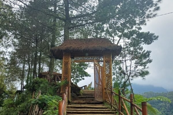 Kopi Ngadas, Oase Ketenangan di Ketinggian dengan View Menakjubkan