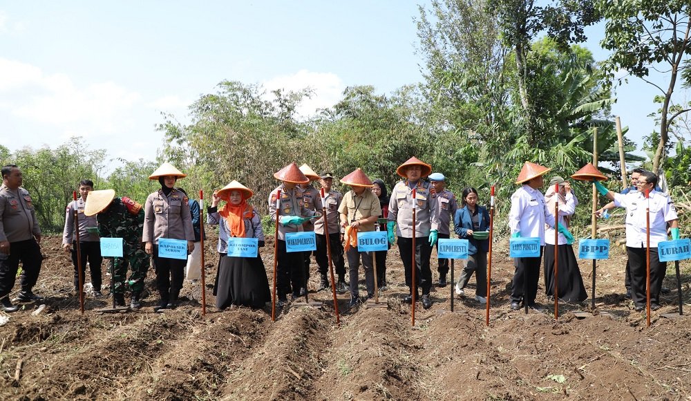 Polresta Malang Kota Tanam Jagung 1 Hektar, Dukung Ketahanan Pangan Nasional