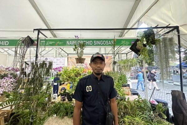 Nawi Orchid Singosari, Pak Iwan, Langganan Dari 2019 Ikuti Pameran Anggrek Nasional