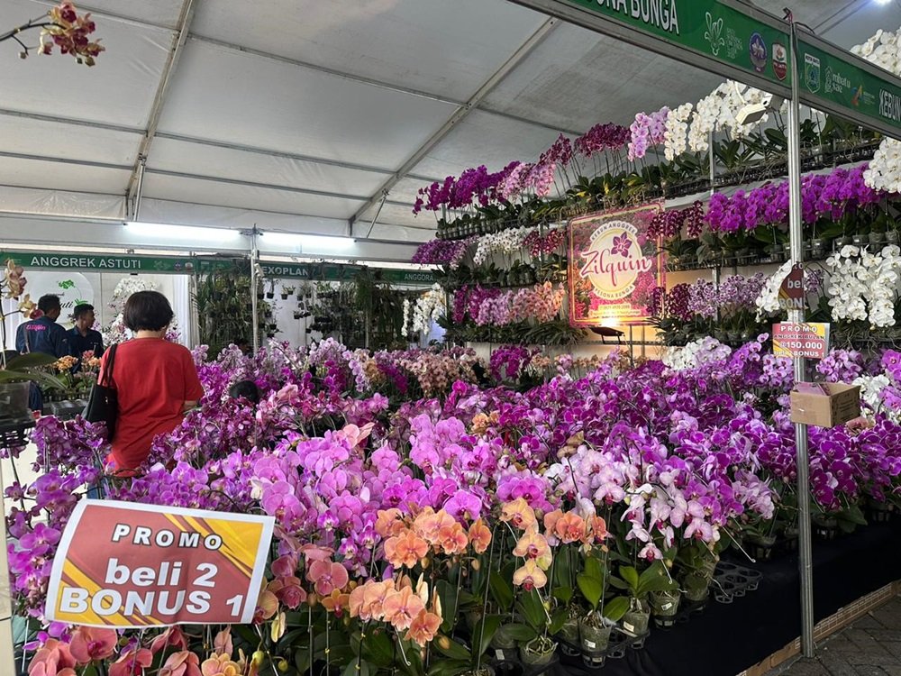 Pameran Anggrek Nasional 2025, Spesies Thailand Jadi Primadona Tahun Ini
