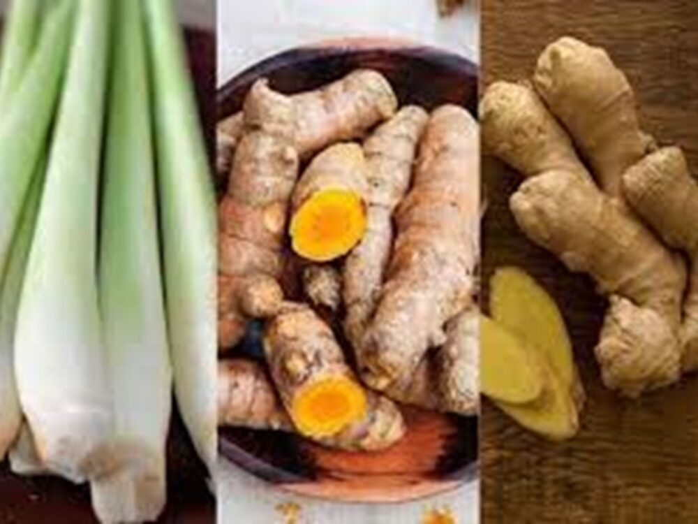 jamu2 Kunyit, Jahe, dan Sereh: Ramuan Jamu Berkhasiat untuk Wanita