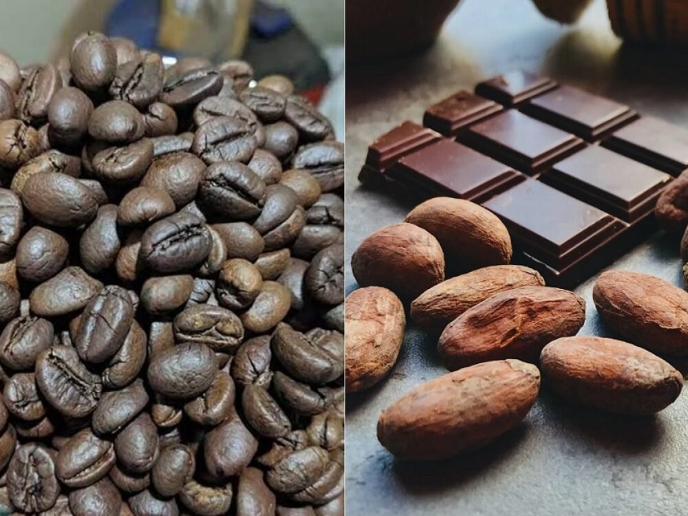 Kabupaten Malang Jadi Pilot Project Bappenas untuk Kopi, Kakao, dan Carbon Trading