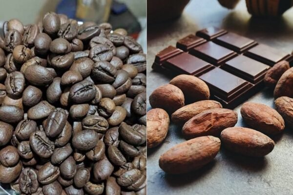 Kabupaten Malang Jadi Pilot Project Bappenas untuk Kopi, Kakao, dan Carbon Trading