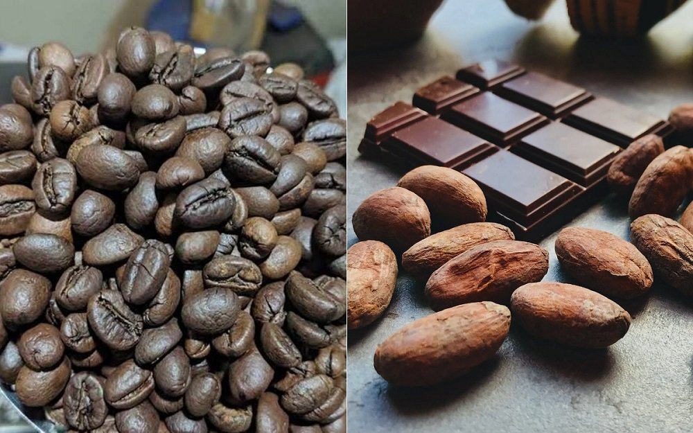 Kabupaten Malang Jadi Pilot Project Bappenas untuk Kopi, Kakao, dan Carbon Trading