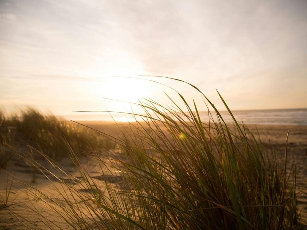 Doa saat Angin Kencang agar Terhindar dari Bahaya