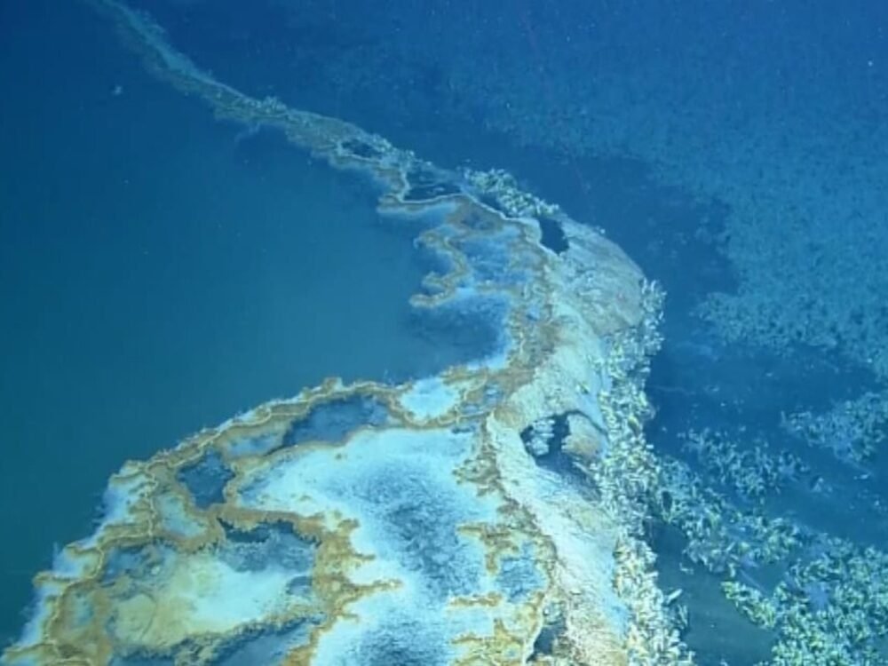 Fenomena Brine Pools, Kolam Asin Mematikan di Laut