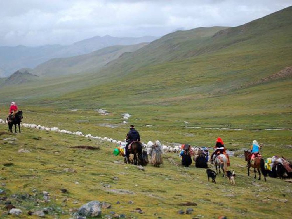 Ternyata Ini Alasan Mongolia Hampir Tak Pernah Makan Daging Babi