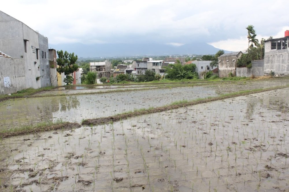 Perempuan Petani di Kota Malang: Tetap Bertahan di Tengah Urbanisasi dan Minimnya Buruh Tani