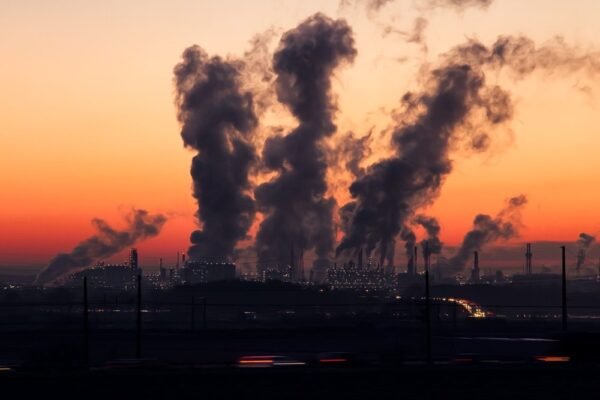 Hari Pencegahan Polusi Sedunia, Dari 730 Ton Sampah Malang hingga Langkah Kecil Selamatkan Bumi