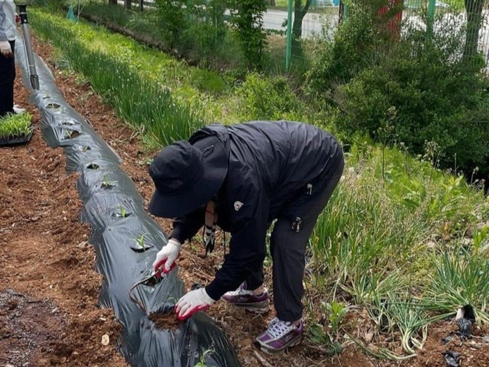 Jepang Targetkan Rekrut 1,23 Juta Tenaga Kerja Asing Hingga Tahun 2028