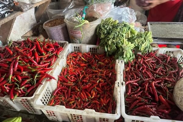 Harga Pangan Merangkak Naik Jelang Ramadan 2026, Cabai dan Ayam Paling Terasa