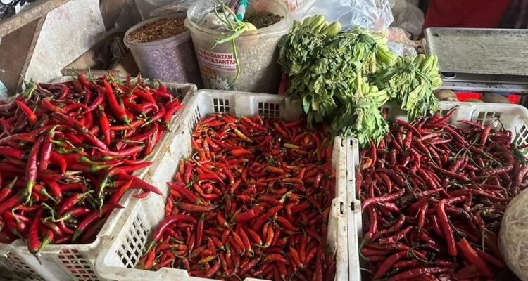 114-Cabai naik jelang Ramadan 2026 Harga Pangan Merangkak Naik Jelang Ramadan 2026, Cabai dan Ayam Paling Terasa