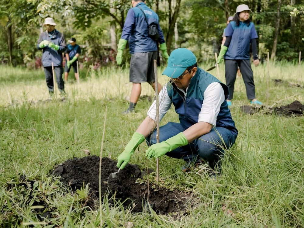 PT Terminal Petikemas Surabaya Tanam 120 Bibit Pohon Pinus di Coban Talun, Wujud Komitmen Pelestarian Lingkungan