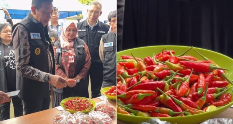 327-Wali Kota Malang cek harga cabai Stabilisasi Harga Bahan Pokok, Pemkot Malang Rencanakan 20 Kali Gerakan Pangan Murah Selama Ramadan