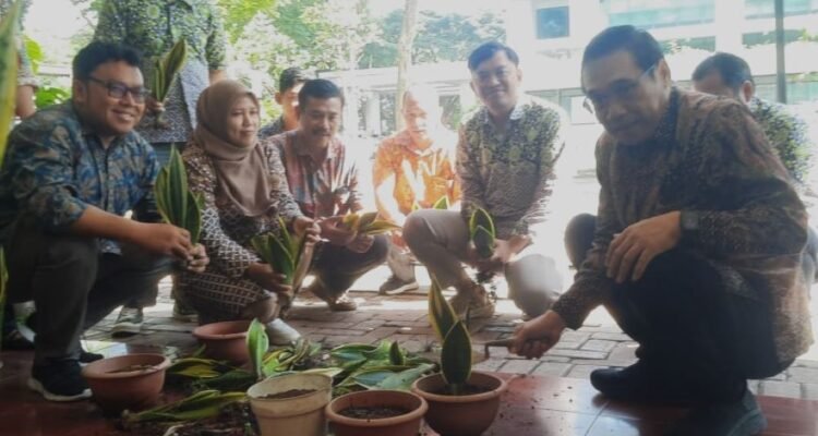 Lidah Mertua Jadi Penyerap Polutan di UM Demi Lingkungan Asri dan Bebas Polusi