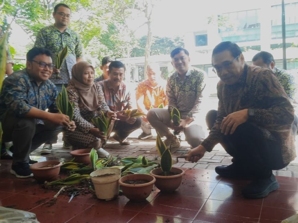 Lidah Mertua Jadi Penyerap Polutan di UM Demi Lingkungan Asri dan Bebas Polusi