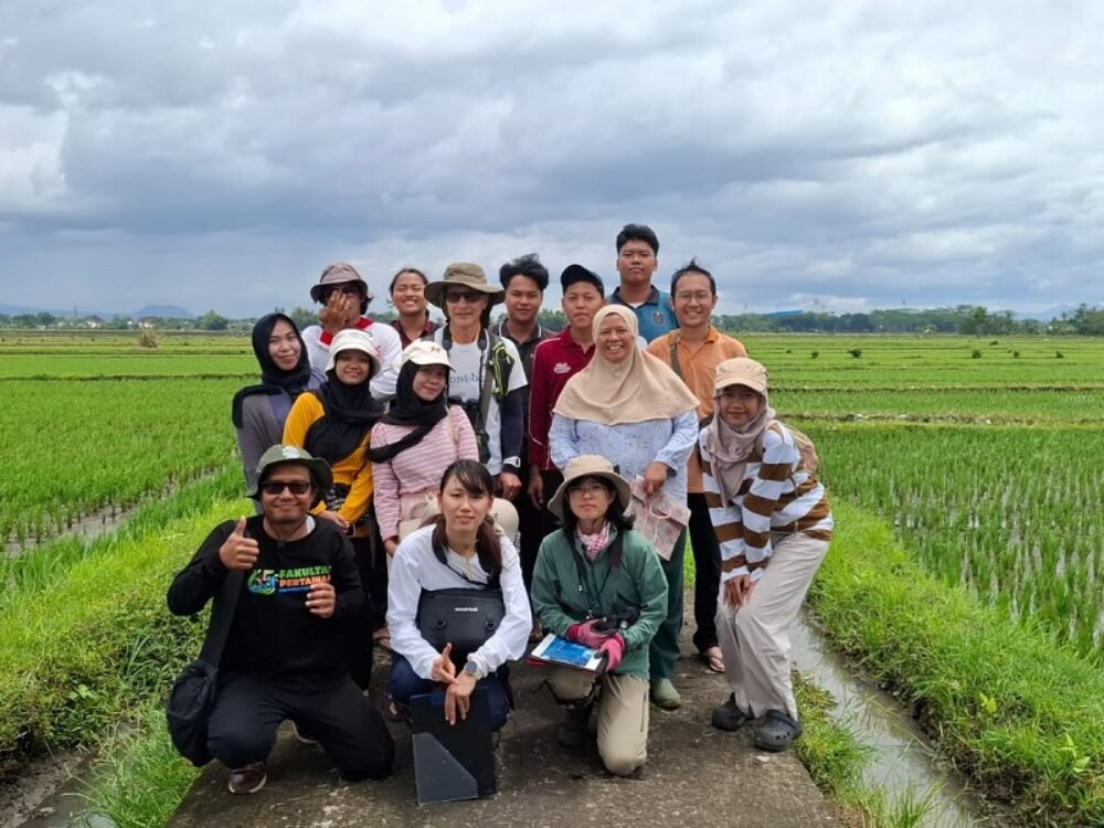 Kolaborasi Penelitian FPUB dan University of Miyazaki (Jepang): Ungkap Perilaku Bangau di Lahan Sawah