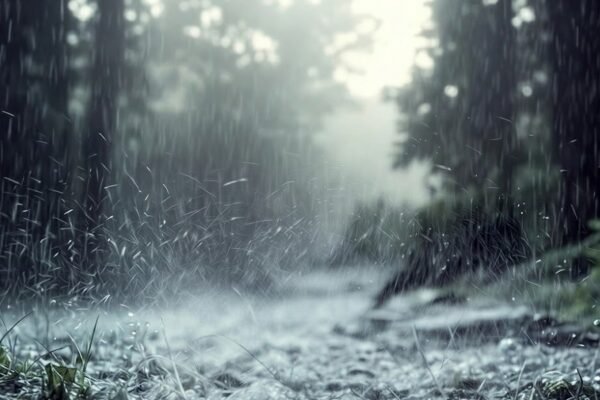 Cuaca Malang Raya Hari Ini, Kamis (5/3/2026): Berawan Hingga Hujan Ringan Seharian