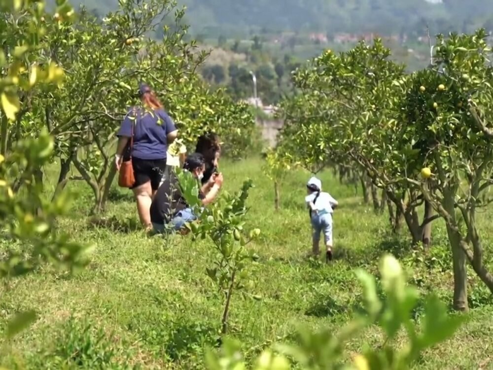 wisata alam batu Butuh Segarkan Pikiran Sebelum Libur Usai? Cek 5 Tempat Wisata Alam Terbaik di Kota Batu Ini