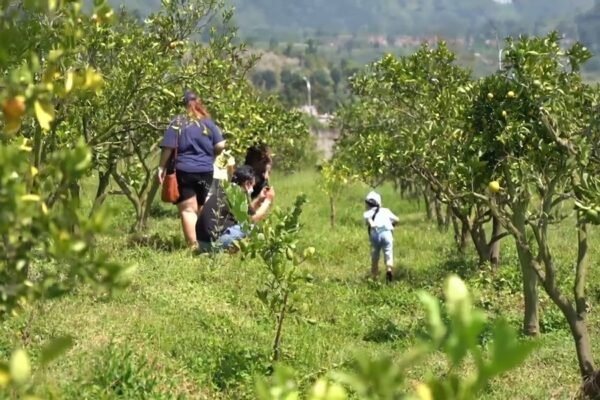 Butuh Segarkan Pikiran Sebelum Libur Usai? Cek 5 Tempat Wisata Alam Terbaik di Kota Batu Ini
