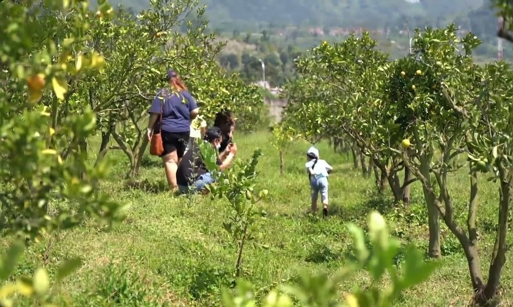 Butuh Segarkan Pikiran Sebelum Libur Usai? Cek 5 Tempat Wisata Alam Terbaik di Kota Batu Ini