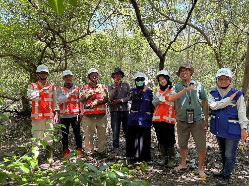 Buah Manis Pelestarian Mangrove, Ekosistem Pesisir Tanjung Perak Semakin Hijau dan Rendah Karbon