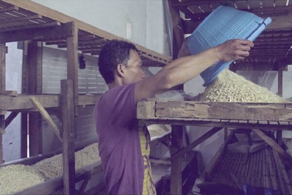 Kenaikan Harga Kedelai Tekan Perajin Tempe di Malang