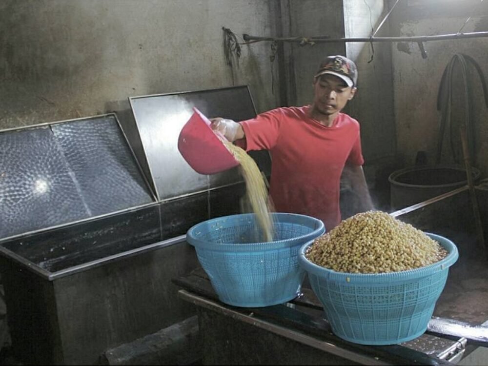 Kementan Sepakati Harga Kedelai Impor Rp11.500/Kg di Tingkat Importir