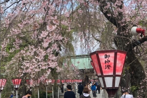 BLK Singosari Gelar Sosialisasi Gratis Magang di Jepang