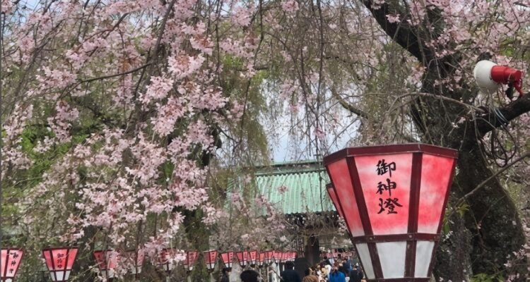 BLK Singosari Gelar Sosialisasi Gratis Magang di Jepang