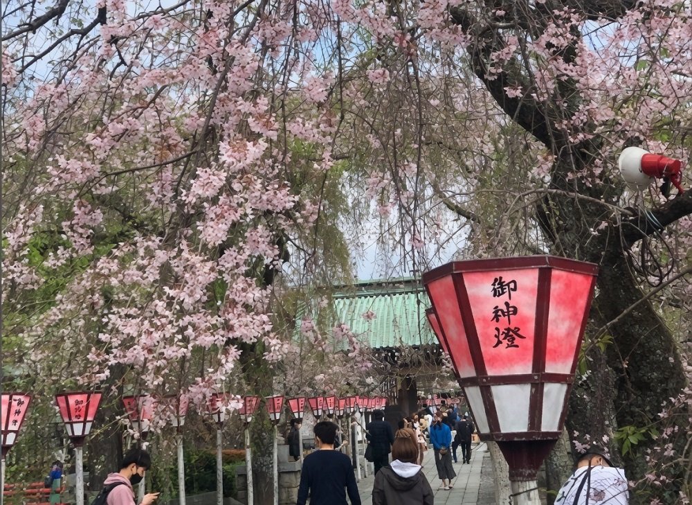 BLK Singosari Gelar Sosialisasi Gratis Magang di Jepang