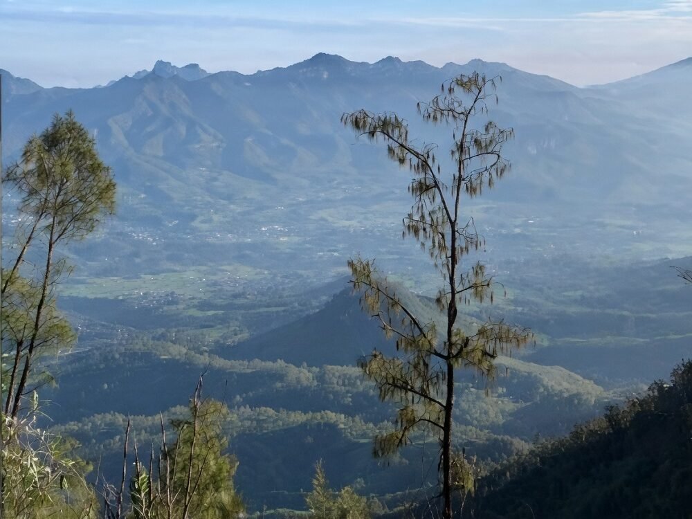 puncak kawinajang kabupaten malang Bingung Cari Tujuan Wisata Akhir Pekan? Puncak Kawinajang Bisa Jadi Tujuan