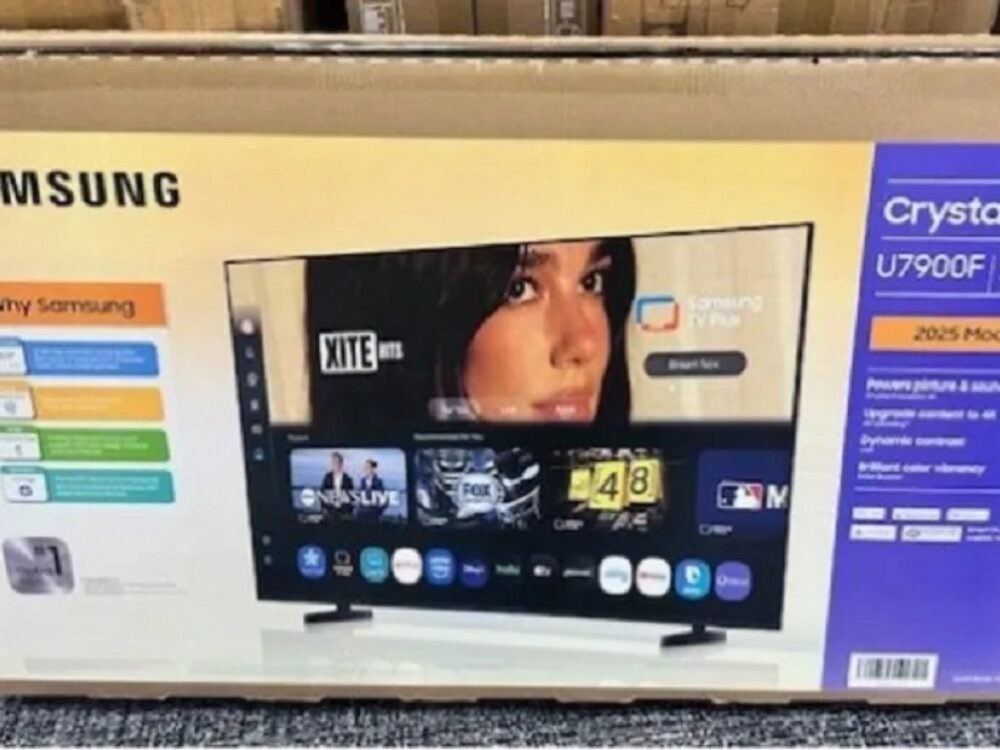 Wajahnya Terpambang di Kotak TV, Dua Lipa Gugat Samsung
