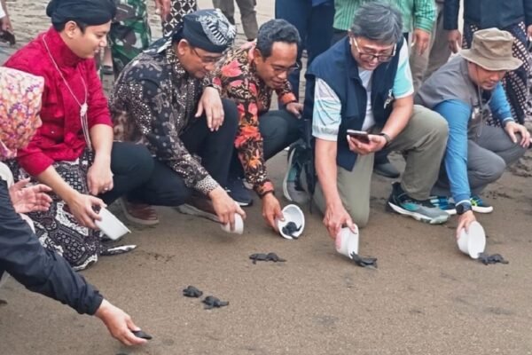 UB Turut Dukung Pelestarian Penyu di Trenggalek