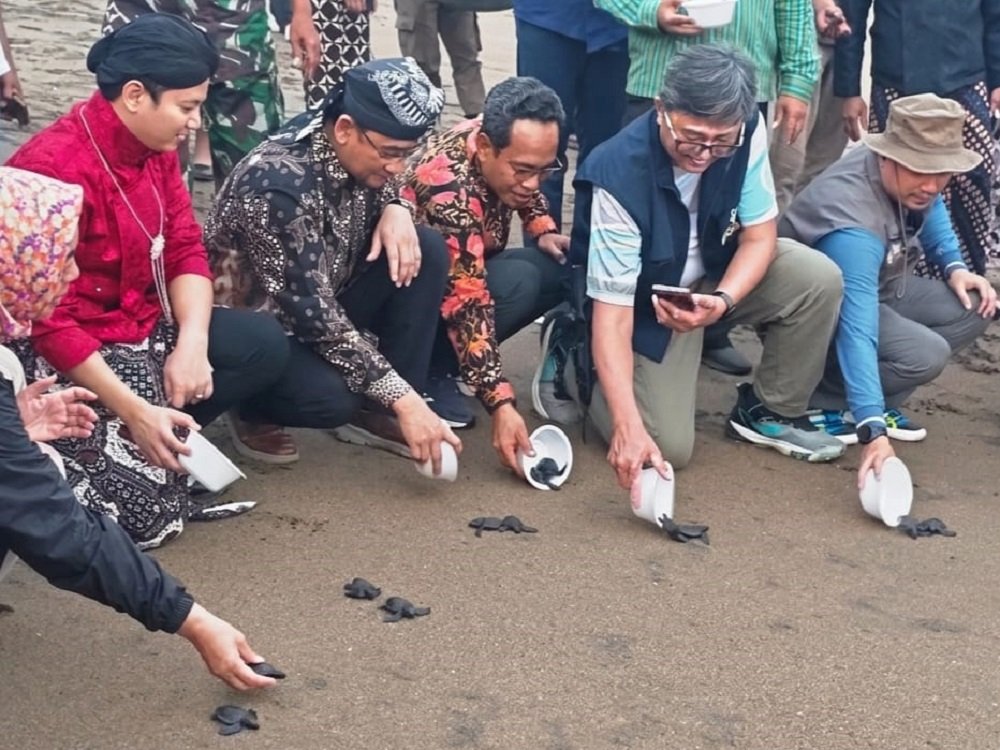UB Penyu Tukik UB Turut Dukung Pelestarian Penyu di Trenggalek