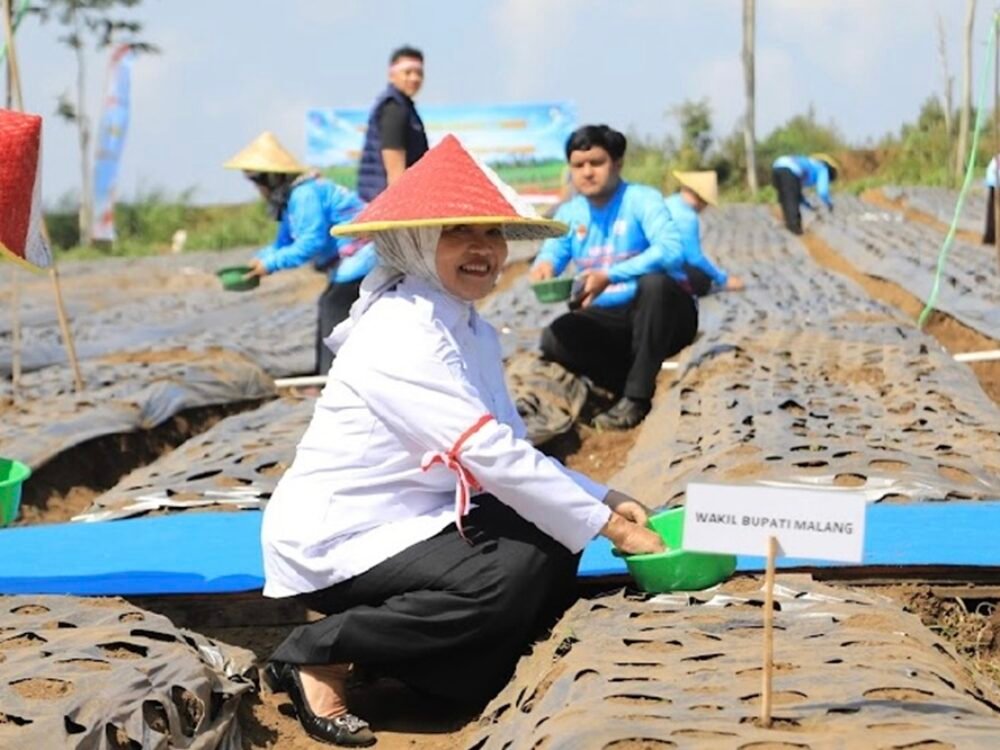 Wabup Malang dan Kapolda Jatim Gelar Penanaman Bawang Putih Serentak