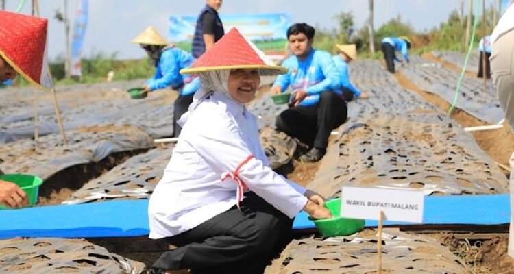 Wabup Malang dan Kapolda Jatim Gelar Penanaman Bawang Putih Serentak