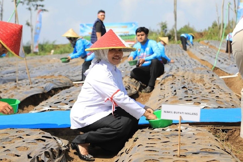Wabup Malang dan Kapolda Jatim Gelar Penanaman Bawang Putih Serentak