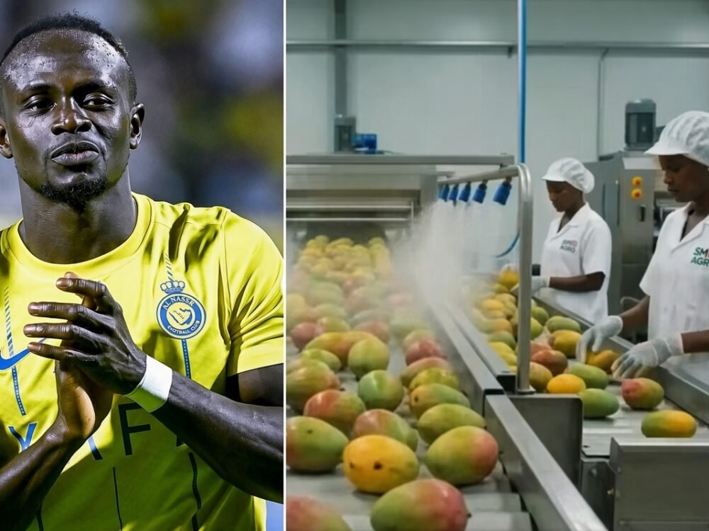 Sadio Mane Investasikan Rp363,6 Miliar untuk Agroindustri Mangga di Senegal, Buka 1.000 Lapangan Kerja