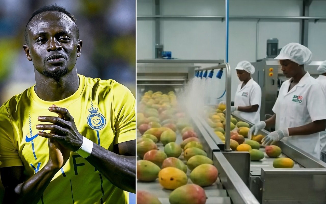 065-Sadio Mane-SM10 AGRO Sadio Mane Investasikan Rp363,6 Miliar untuk Agroindustri Mangga di Senegal, Buka 1.000 Lapangan Kerja