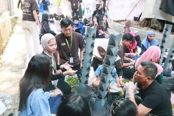 Hijaukan Permukiman Sempit, FTAB UB Ajak Warga Tunjungsekar Panen Sayur Mandiri lewat MEA