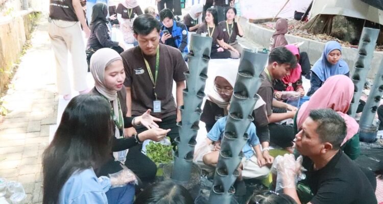 Hijaukan Permukiman Sempit, FTAB UB Ajak Warga Tunjungsekar Panen Sayur Mandiri lewat MEA