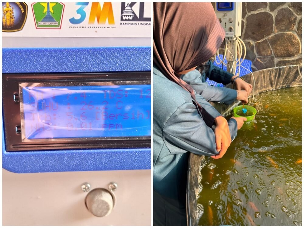 Inovasi FTAB UB Inovasi Mahasiswa FTAB UB untuk UMKM Pantau Lele Lewat HP