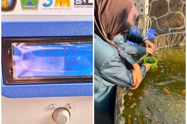 Inovasi Mahasiswa FTAB UB untuk UMKM Pantau Lele Lewat HP
